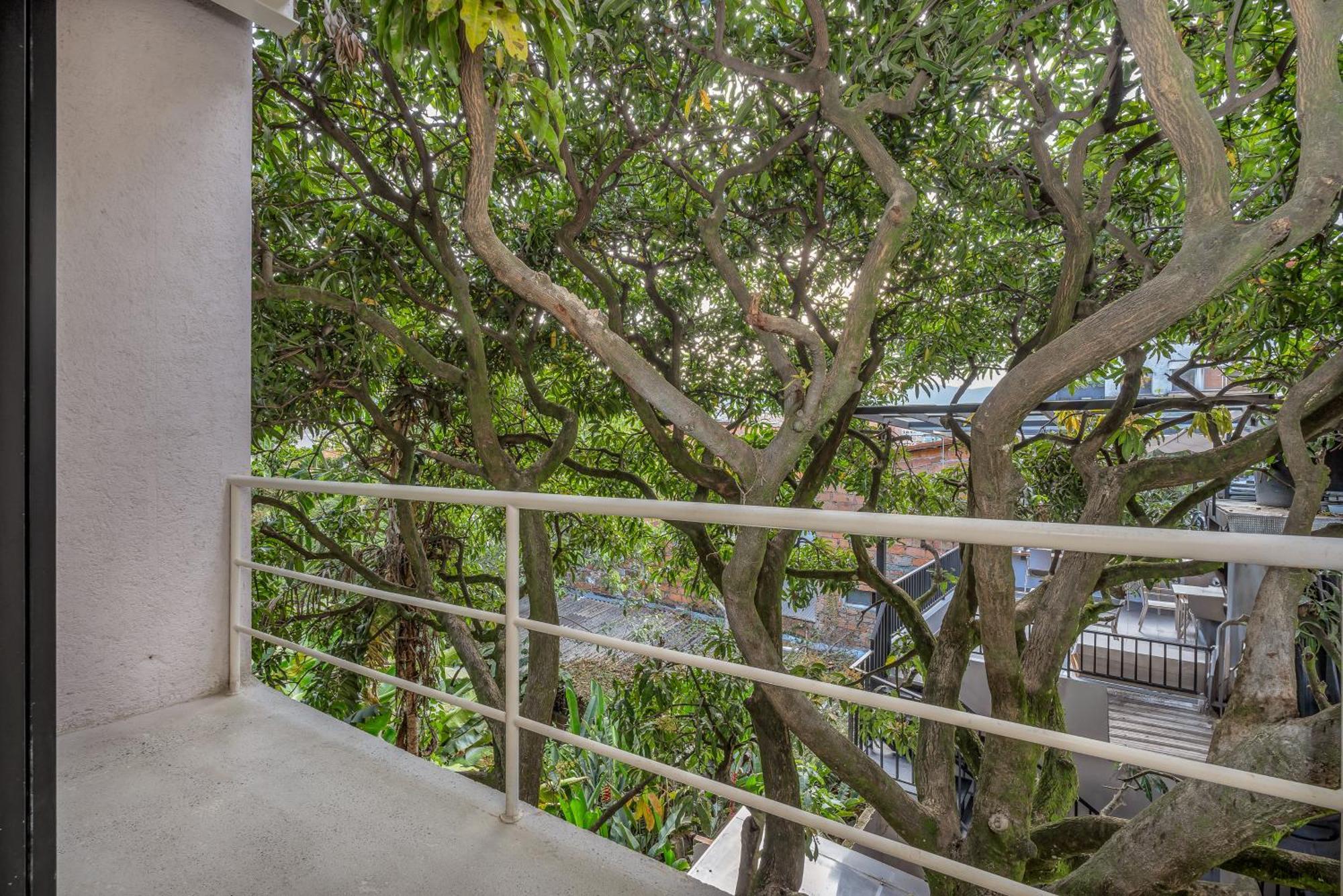 מדיין Botanica Casa Hotel Manila By Housy Host מראה חיצוני תמונה